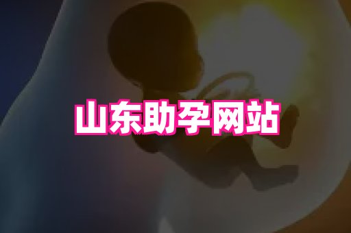 潍坊助孕网 3